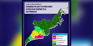 The towns of Oton and San Miguel in Iloilo province are now African Swine Fever red (Infected) zones. The adjacent towns of Tigbauan, Pavia, Leon, Alimodian, Cabatuan, and Santa Barbara, and Iloilo City are classified as Pink (Buffer) zones. On the other hand, Guimbal, Igbaras, Tubungan, Leganes Maasin, Janiuay, New Lucena, Mina, and Zarraga are Yellow (Surveillance) zones while Miag-ao, Pototan, Dumangas, Badiangan and Lambunao are Light Green (Protected) zones. The rest of the province are under Green (Free) Zone.LMP ILOILO FACEBOOK PAGEPHOTO