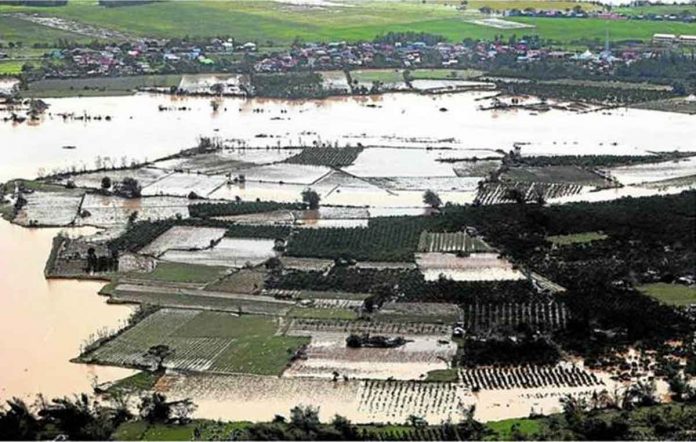 nation1 Vast tracts of farms are submerged by flood in this photo taken during President Marcos’ aerial inspection of provinces ravaged by Supertyphoon “Karding.” J ROSALES/PPA POOL