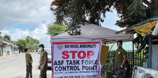 San Miguel’s Mayor Marina Luz Gorriceta confirms that blood samples from four hogs in Barangay San Jose tested positive for African Swine Fever (ASF). Since last week, the local government has started implementing ASF control points for the protection of the town’s hog raisers and pork consumers. MUNICIPALITY OF SAN MIGUEL FACEBOOK PAGE PHOTO