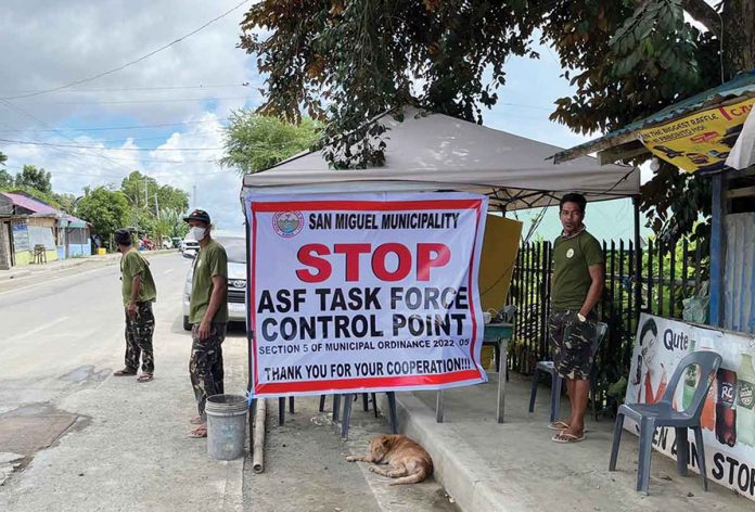 san-miguel San Miguel’s Mayor Marina Luz Gorriceta confirms that blood samples from four hogs in Barangay San Jose tested positive for African Swine Fever (ASF). Since last week, the local government has started implementing ASF control points for the protection of the town’s hog raisers and pork consumers. MUNICIPALITY OF SAN MIGUEL FACEBOOK PAGE PHOTO