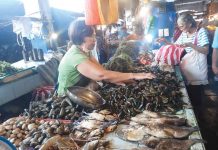 A market vendor at the Kalibo wet market displays various kinds of sea products like shellfish, prawns and different fish species. Aklanons are hoping that the red tide currently affecting 6 areas in Capiz will not reach Aklan waters. BFAR-AKLAN PHOTO