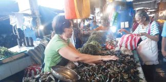 A market vendor at the Kalibo wet market displays various kinds of sea products like shellfish, prawns and different fish species. Aklanons are hoping that the red tide currently affecting 6 areas in Capiz will not reach Aklan waters. BFAR-AKLAN PHOTO