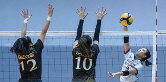 Bacolodnon Joan Marie Monares of University of the Philippines Fighting Maroons positions for an attack against University of Santo Tomas Golden Tigresses’ Camille Victoria. V-LEAGUE PHOTO