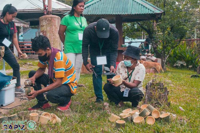 capiz During their first day of training on bamboo craft-making, participants were exposed to the various species of bamboo, its multiple applications, and its socioeconomic significance in the Philippine context. CAPIZ TOURISM AND CULTURAL AFFAIRS PHOTO