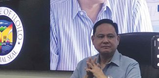 Gov. Arthur Defensor Jr.’s Executive Order No. 545 sets financial aid for African Swine Fever-affected hog farmers in Iloilo province.