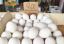 Poultry farmers lament low chicken, egg farmgate prices Philippine Statistics Authority data showed that poultry production posted an annual growth of 6.4% to P63.060 billion in the third quarter of the year, with chicken production up 6.7% and chicken eggs by 6.1%. PN PHOTO