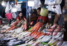 PH to import 25K MT of fish amid closed fishing season