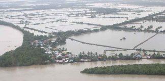 A total of 149 barangays in Capiz got flooded due to Tropical Storm “Paeng”, according to the Regional Disaster Risk Reduction and Management Council (RDRRMC) - Emergency Operations Center. Aerial photo shows the flooded areas in Capiz as of Sunday morning, Oct. 30. RDRRMC VI-PIA VI PHOTO