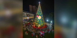 Dubbed as the tallest Christmas tree in Iloilo City, this 60-foot tree is one of SM City Iloilo’s contributions to spread the holiday cheer. Located at SM City Iloilo’s Southpoint, it features, among others, gift boxes and custom-made “Angels of Light” – a perfect backdrop for that snazzy holiday season selfie, souvenir family photo or barkada groupfie. Complementing the giant Christmas tree is a skating rink/pond where kids and the kids-at-heart can live out a delightful “Christmas at the park”.