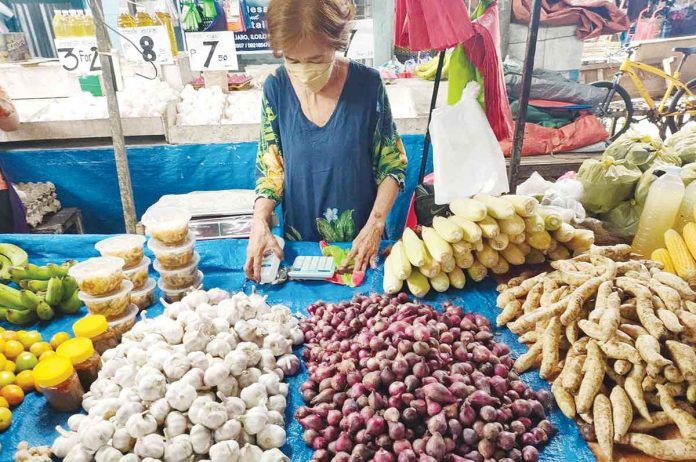 A vendor tends to her stall at the Jaro Big Market in Jaro, Iloilo City. AJ PALCULLO/PN