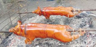 Iloilo province’s “pork festival” is inspired by Balasan town’s Lechon Festival. Provincial Tourism Pfficer Gilbert “Bombette” Marin says the objective is to help hog raisers whose businesses are reeling from the African Swine Fever. Photo shows lechon, one of the expected highlight menus during the festival. JOHN'S CRISPY LECHON FACEBOOK PAGE PHOTO