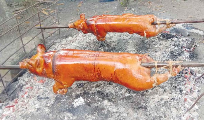 lechon Iloilo province’s “pork festival” is inspired by Balasan town’s Lechon Festival. Provincial Tourism Pfficer Gilbert “Bombette” Marin says the objective is to help hog raisers whose businesses are reeling from the African Swine Fever. Photo shows lechon, one of the expected highlight menus during the festival. JOHN'S CRISPY LECHON FACEBOOK PAGE PHOTO