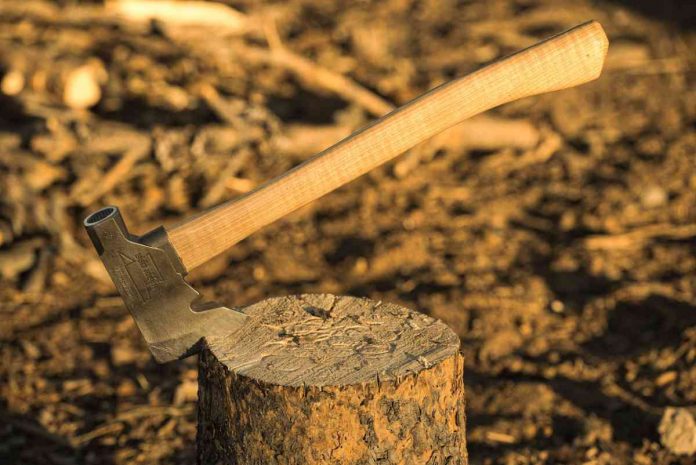 pexels-troy-squillaci-4712552 (1) Photo for representation only. Photo by Troy Squillaci: https://www.pexels.com/photo/shallow-focus-photo-of-axe-on-tree-stump-4712552/