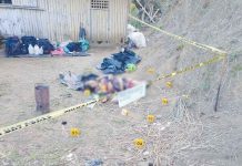 Domingo Tagapolan Costas of Miag-ao, Iloilo died in a clash with the Philippine Army on Saturday, Nov. 26, in Barangay Tigbanaba, Igbaras, Iloilo. Costas was a member of Team 1, Squad 1, of Suyak Platoon, Southern Front Kometing Rehiyon Panay. The Army recovered from the crime scene rifles, rifle grenade, food packs, medical supplies, and subversive documents, among others. IGBARAS POLICE STATION PHOTO