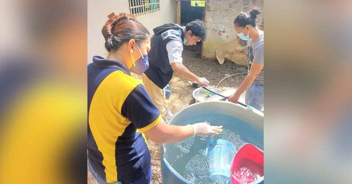 water-prep-ajuy Personnel of the Department of Health Region 6’s Environmental and Occupational Health section conduct monitoring, surveillance and house visits to food poisoning survivors on Nov. 14. DOH-6 also conducts an information drive on clean and safe food preparation. DOH-6 PHOTO