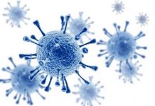 Photo courtesy of National Foundation for Infectious Diseases.