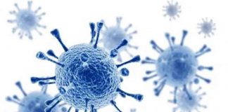 Photo courtesy of National Foundation for Infectious Diseases.