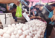 Bird flu, higher feed prices blamed for egg price hike It is normal for egg supply to go down during the cold season, according to the Department of Agriculture. PN PHOTO