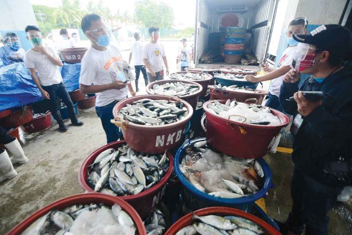fish-port Iloilo province’s economy posted positive growth in 2021 and among its top contributors were agriculture, fishery and fishing. Photo shows the Iloilo Fish Port Complex – a major center of fish trading and marine products processing in Western Visayas. PN FILE PHOTO