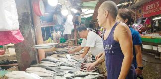 Food inflation in Western Visayas accelerated to 10.4 percent in November from 9.1 percent in October this year. PN PHOTO