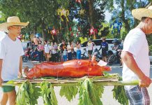 ASF-positive lechon? No worries, it’s safe for humans – Tabuada Santa Barbara, Iloilo holds its first Lechon Festival on Nov. 27. One of the lechon entries was reportedly positive for African Swine Fever (ASF) but Iloilo provincial veterinarian, Dr. Darel Tabuada, says the Provincial Task Force on ASF is still validating the information. AJ PALCULLO/PN