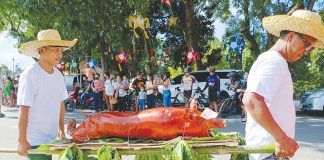 Santa Barbara, Iloilo holds its first Lechon Festival on Nov. 27. One of the lechon entries was reportedly positive for African Swine Fever (ASF) but Iloilo provincial veterinarian, Dr. Darel Tabuada, says the Provincial Task Force on ASF is still validating the information. AJ PALCULLO/PN