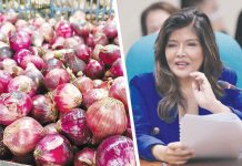 #IMEEsibuyas on their way Sen. Imee Marcos on Wednesday, Dec. 28, initiated the direct purchase of around 300,000 kilos of onions from Nueva Ecija farmers’ cooperatives whose grants she had sponsored from the Kadiwa program of Department of Agriculture. AJ PALCULLO/PN, SENATE PRIB PHOTO