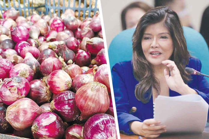 Sen. Imee Marcos on Wednesday, Dec. 28, initiated the direct purchase of around 300,000 kilos of onions from Nueva Ecija farmers’ cooperatives whose grants she had sponsored from the Kadiwa program of Department of Agriculture. AJ PALCULLO/PN, SENATE PRIB PHOTO