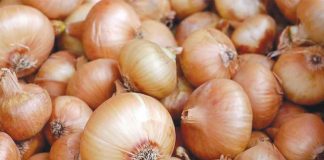 White onions found online are most probably smuggled into the country, as the Department of Agriculture has yet to issue import permits to address the current onion shortage. PIXABAY PHOTO