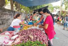 DA says no plan to import onions as prices hit P500/kg Red onions go for sale in Pavia market in Iloilo on August 17, 2022. Department of Agriculture deputy spokesperson Rex Estoperez says prices of onions have already reached up to P520 per kilogram in select markets in Manila, with farmgate prices up to P300 per kilogram. AJ PALCULLO/PN
