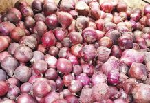 DA allots P327M to boost onion industry The Department of Agriculture has found out that some sellers have hiked prices of red onions to up to P300 per kilogram. PN PHOTO