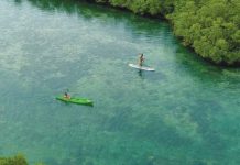PH voted anew as ‘world’s best’ country destination Lalaguna Mangrove and Eco Park in Northern Samar. DOT PHOTO