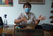 Iloilo Provincial Health Office head, Dr. Maria Socorro Colmenares-Quiñon, says their surveillance and monitoring team at the Iloilo Airport is already in place for travelers from China.