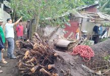 Gov. Arthur Defensor Jr. visits the tornado-hit barangays of Alegre and San Nicolas in Oton, Iloilo on Jan. 4. Provincial Disaster Risk Reduction and Management Office data show 15 houses were totally damaged and 82 partially damaged. BALITA HALIN SA KAPITOLYO FB PHOTO