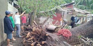 Gov. Arthur Defensor Jr. visits the tornado-hit barangays of Alegre and San Nicolas in Oton, Iloilo on Jan. 4. Provincial Disaster Risk Reduction and Management Office data show 15 houses were totally damaged and 82 partially damaged. BALITA HALIN SA KAPITOLYO FB PHOTO