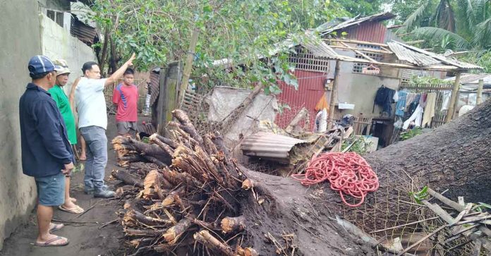 Tornado-hit-homes Gov. Arthur Defensor Jr. visits the tornado-hit barangays of Alegre and San Nicolas in Oton, Iloilo on Jan. 4. Provincial Disaster Risk Reduction and Management Office data show 15 houses were totally damaged and 82 partially damaged. BALITA HALIN SA KAPITOLYO FB PHOTO