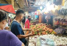 Cheaper vegetable prices are expected this January due to the harvest season of onions and decline in fertilizer prices. AJ PALCULLO/PN