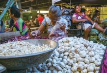 Department of Agriculture Region 1 says there is only a small supply of local garlic left in the country, and the stock of garlic in cold storage facilities will not be enough to fill the domestic requirement. ABS-CBN NEWS FILE PHOTO