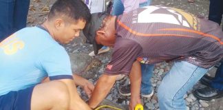 Three green turtles were rescued in Barangay San Isidro, Tibiao, Antique, on Jan. 21. DENR-CENRO CULASI FACEBOOK PAGE