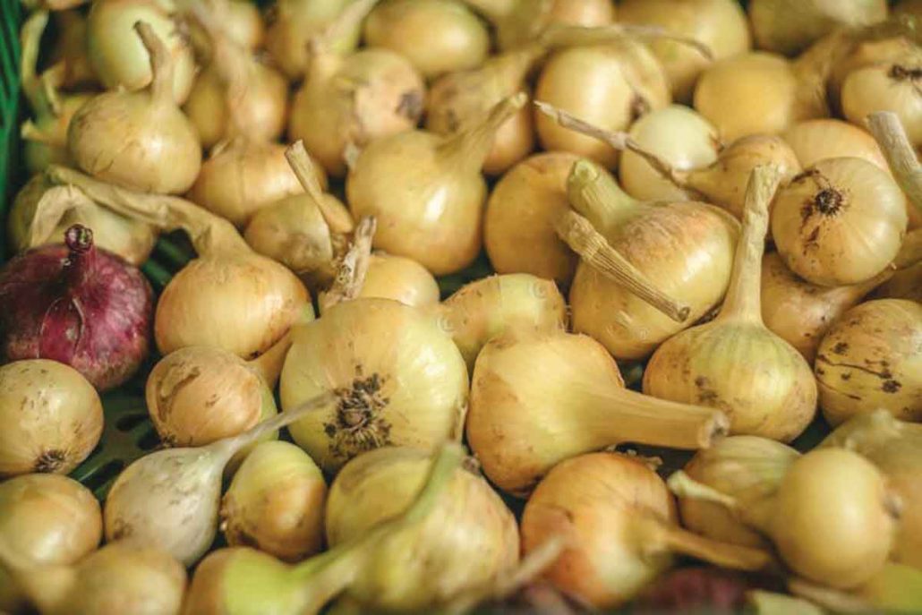 PH to import 21,060 MT of onions to temper prices