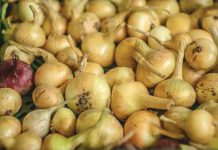 The Philippines will import 3,960 metric tons of fresh yellow onions and 17,100 metric tons of fresh red onions.