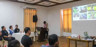 The provincial government of Antique, through its Provincial Veterinary Office, held a consultative meeting on Saturday, Feb. 25, to strengthen its African Swine Fever countermeasures following its detection in Capiz province. PROVINCE OF ANTIQUE FACEBOOK PAGE