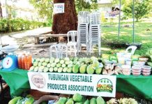 Kadiwa pop-up stores to open in 2 Panay LGUs The Tubungan Vegetable Producers Association joins the Kadiwa display at the Iloilo Electric Cooperative 1 in Tigbauan, Iloilo on Feb. 2 to 3, 2023. The Kadiwa food supply program offers quality and affordable agri-fishery products. DA-AGRIBUSINESS AND MARKETING ASSISTANCE DIVISION FB PHOTO
