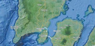 The construction of the Panay-Guimaras-Negros Island Bridges Project will start in 2025 once the detailed engineering design is completed on schedule and approved for funding and implementation by the Investment Coordination Committee and the National Economic and Development Authority Board. NEDA-6 PHOTO