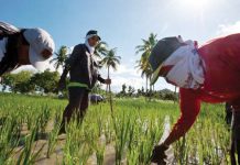 The Department of Trade and Industry has been pushing for the Senate's ratification of Regional Comprehensive Economic Partnership. It said it would lower the prices of goods, and Filipino-made products can easily be exported. JULIAN ABRAN WAINWRIGHT/BLOOMBERG VIA GETTY IMAGES