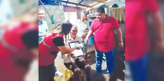 The 100-year-old resident of Jordan, Guimaras, received a P100,000 tax-free cash benefit and a letter of felicitation from the President. LGU JORDAN FACEBOOK PAGE