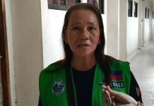 Zero minors in motels – ‘morality’ taskforce Barangay tanod Genela Macoco said she used to see high school students attempting to sneak into lodging houses during Valentine’s Day. The Task Force on Morals and Values Formation, meanwhile, recorded no incident of minors sneaking into accommodation establishments in Iloilo City yesterday. AJ PALCULLO/PN