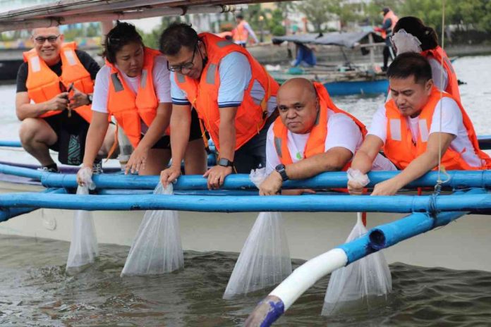morepower A significant step towards promoting sustainability and supporting Iloilo City’s ecological health, MORE Electric and Power Corporation recently released fish fingerlings in the Iloilo River. MORE POWER PHOTO