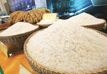 Department of Trade and Industry secretary Alfredo Pascual said Cambodian rice can enter the Philippine market at 35 percent tariff rate. KT/CHOR SOKUNTHEA PHOTO