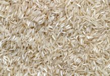 NIA-VI sells 1.272-M kgs of affordable rice across Western Visayas Photo by Pierre Bamin on Unsplash